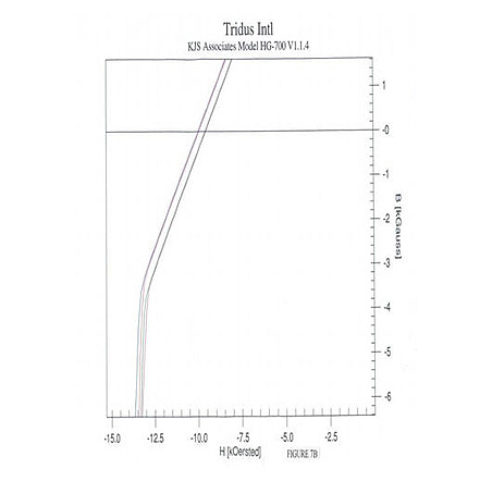 Tridus International KJS associations Model